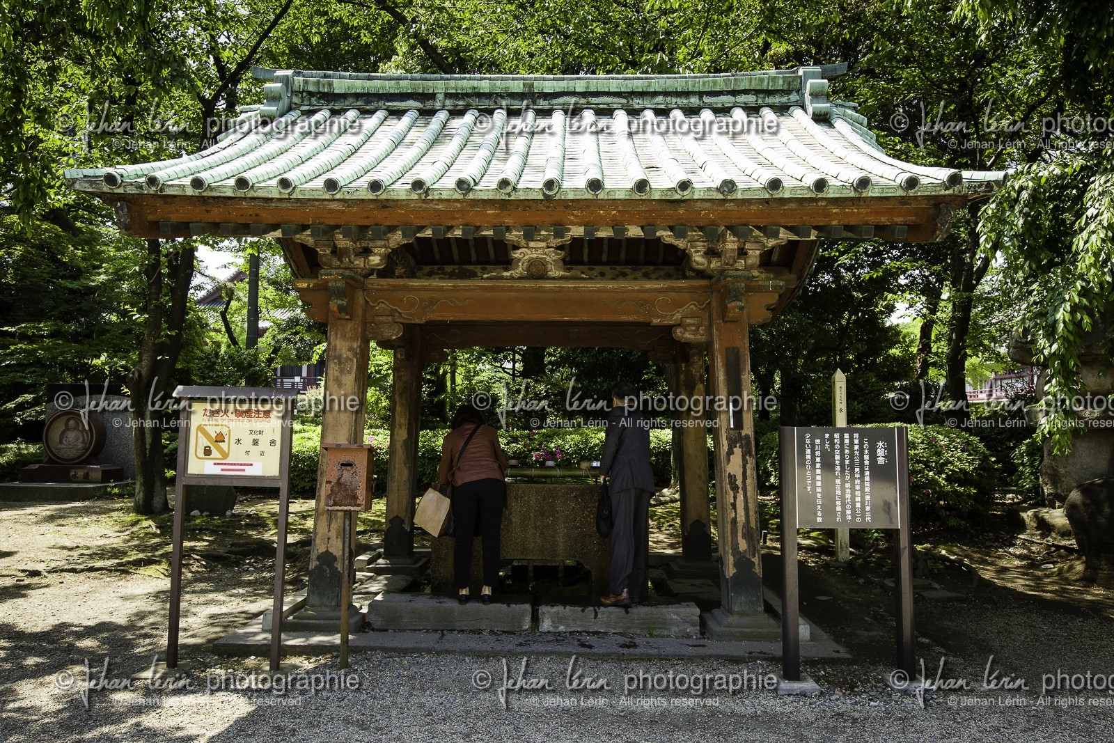 shiba-koen_tokyo_japon_jl_5d3_04-05-2014-1550.jpg