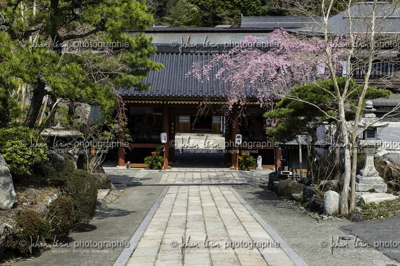 koyasan_japon_jl_1dx_17-04-2014-5203.jpg