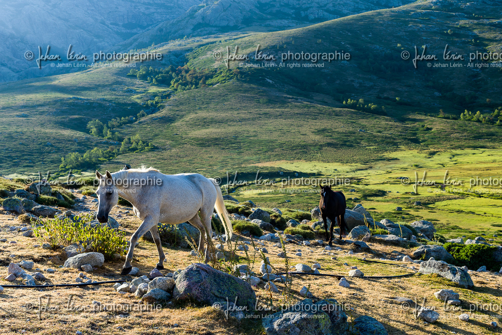 gr20_corse_jl_1dx_25-07-2016-0876.jpg