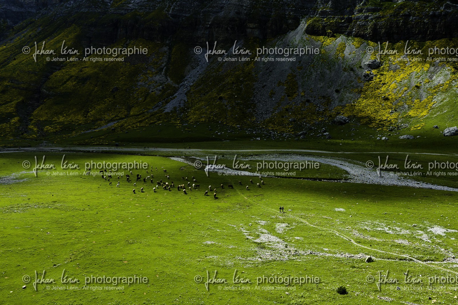 ordesa-valley_aragon2010-9956.jpg