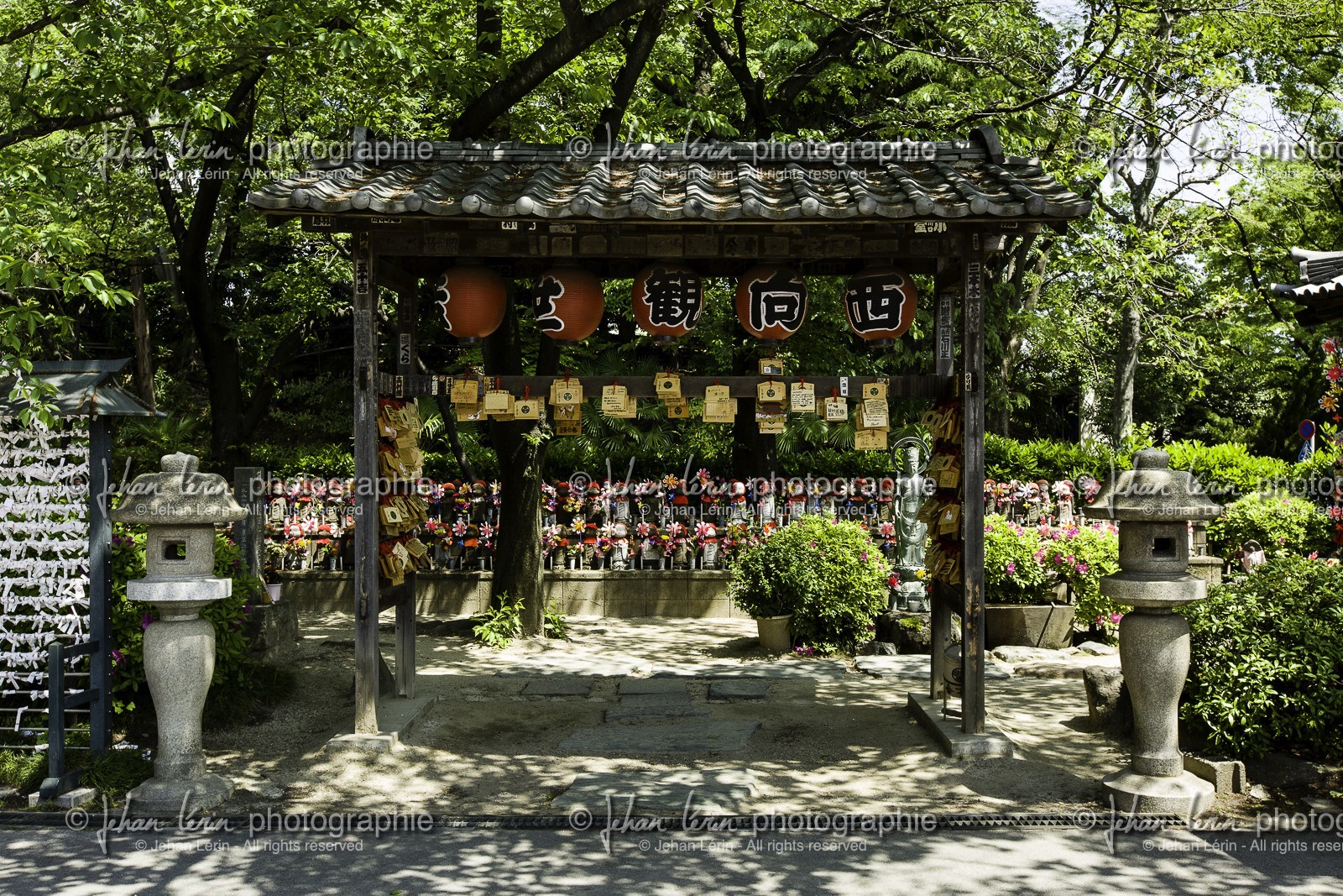 shiba-koen_tokyo_japon_jl_5d3_04-05-2014-1568.jpg