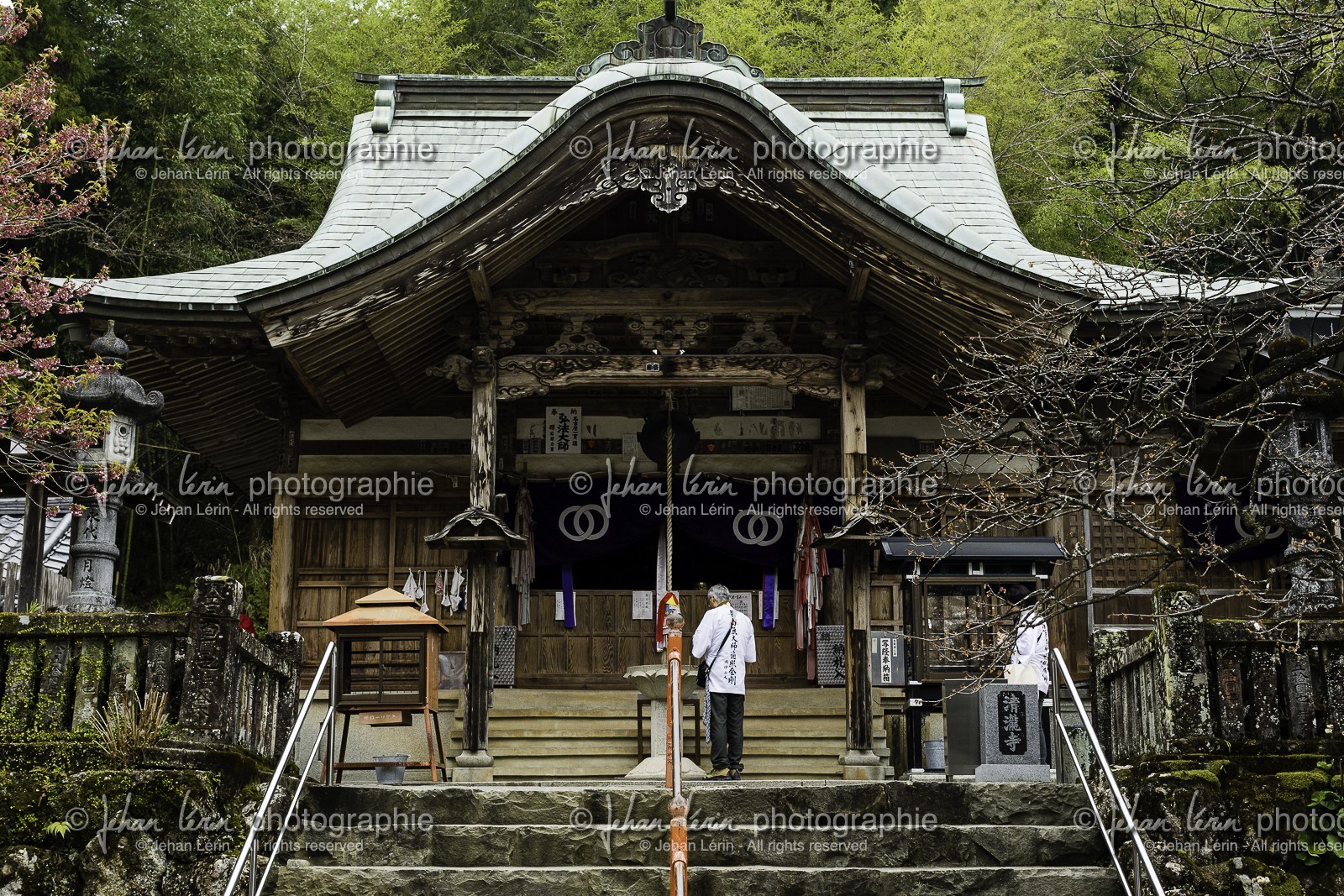 kiyotakiji_temple-35_shikoku_japon_18-03_2014-2815.jpg