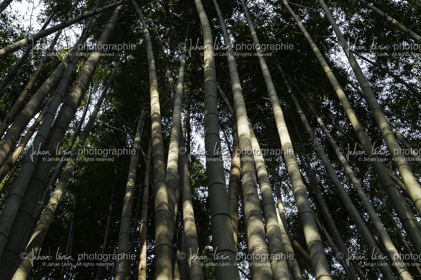 en-route-vers_temple-19_shikoku_japon_09-03_2014-2196.jpg
