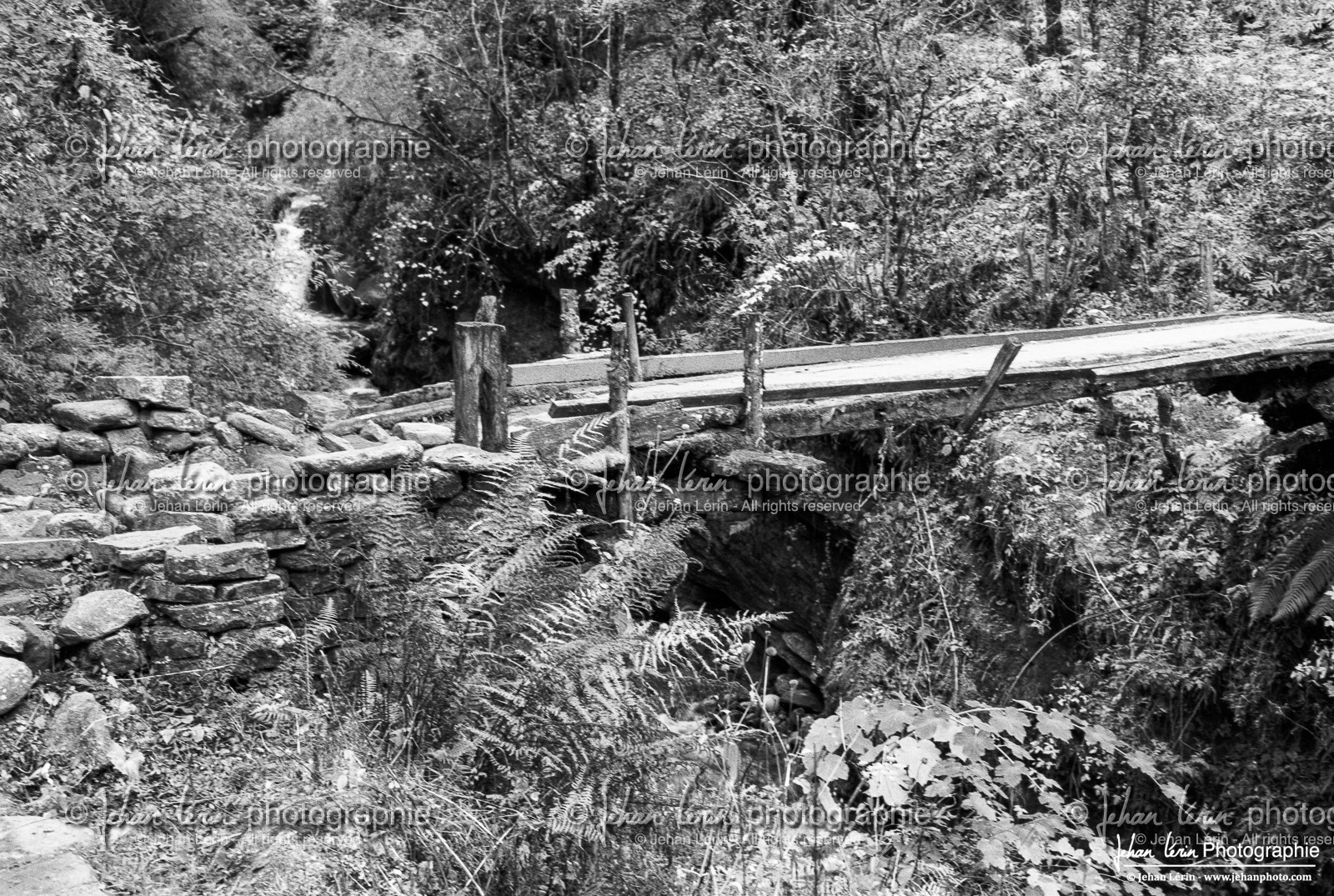 Grand Tour des Annapurnas 2004
