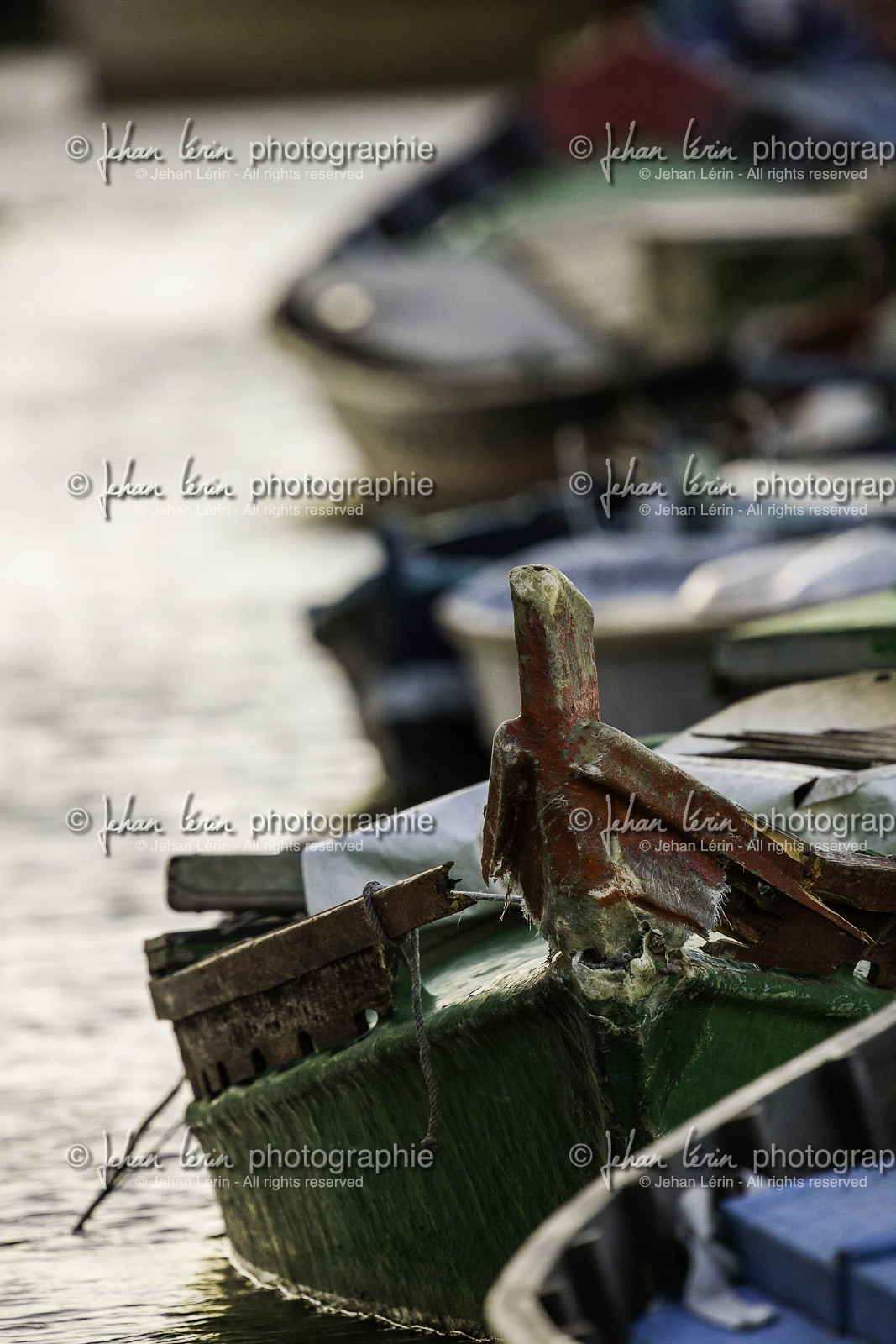 l-albufera_valencia_17-12-2009-7227.jpg