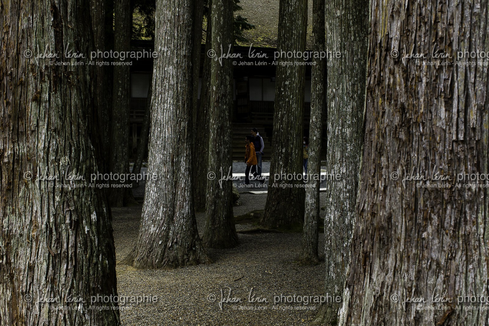 koyasan_japon_jl_1dx_16-04-2014-5120.jpg