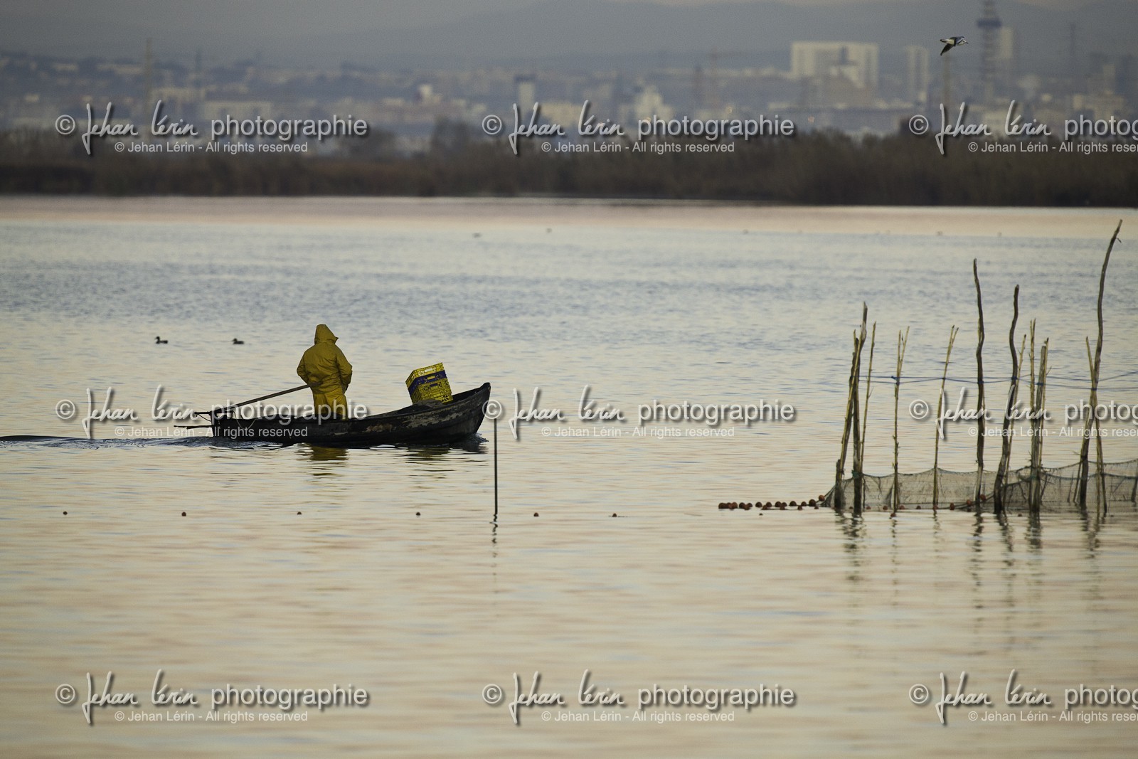 l-albufera_valencia_18-01-2012-2-2.jpg