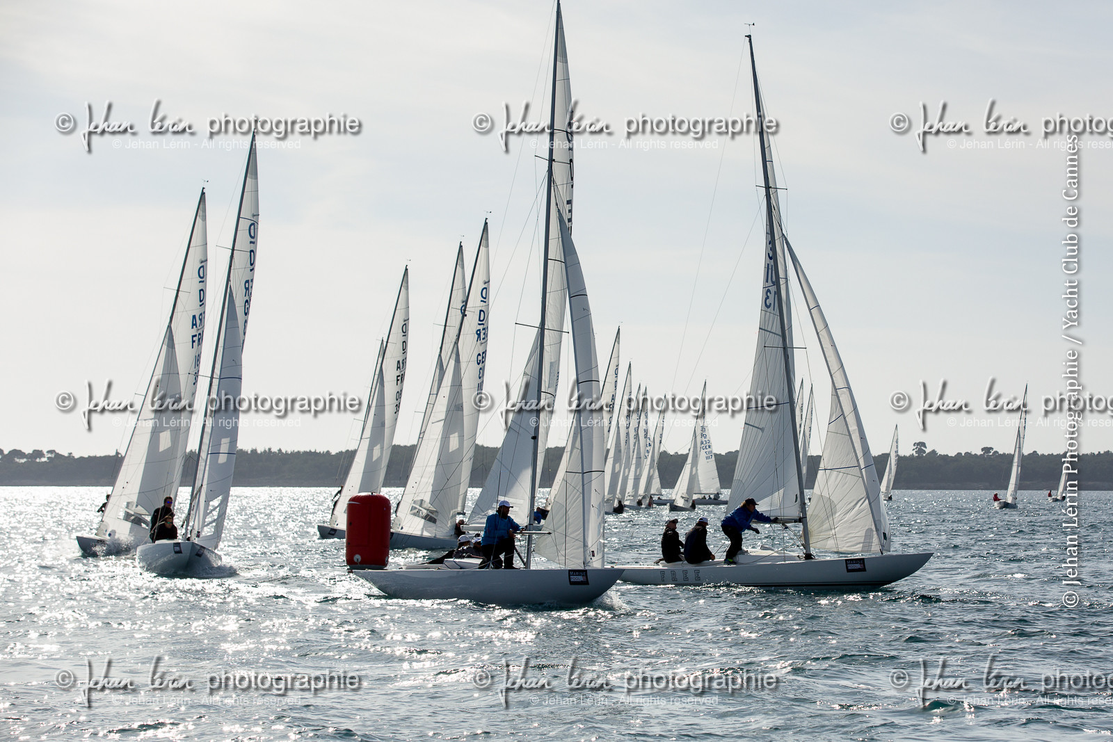 dragon-grand-prix-2016_ycc_jl_5d3_24-02-2016-7618.jpg