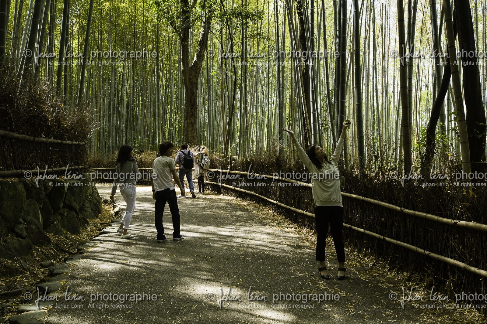 bambouseraie_arashiyama_kyoto_japon_jl_5d3_10-05-2014-1672.jpg