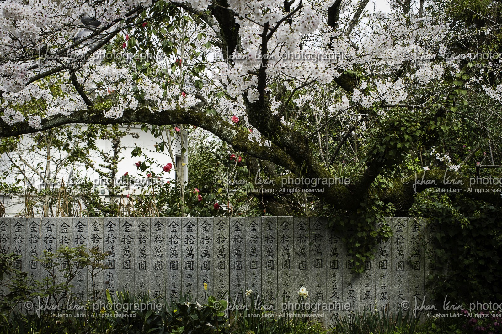 kichijoji_temple-63_shikoku_japon_02-04_2014-3699.jpg