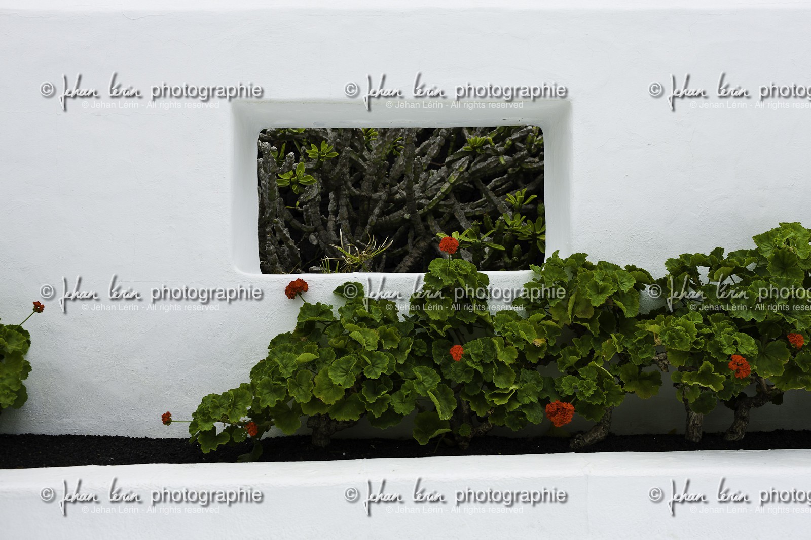 lanzarote_05-06-2011-2-68-447-447.jpg