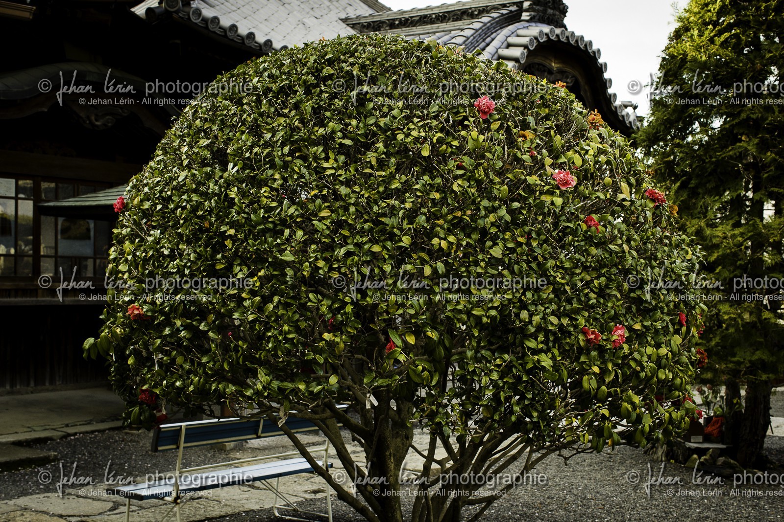 shusshakaji_temple-73_shikoku_japon_06-04_2014-4099.jpg