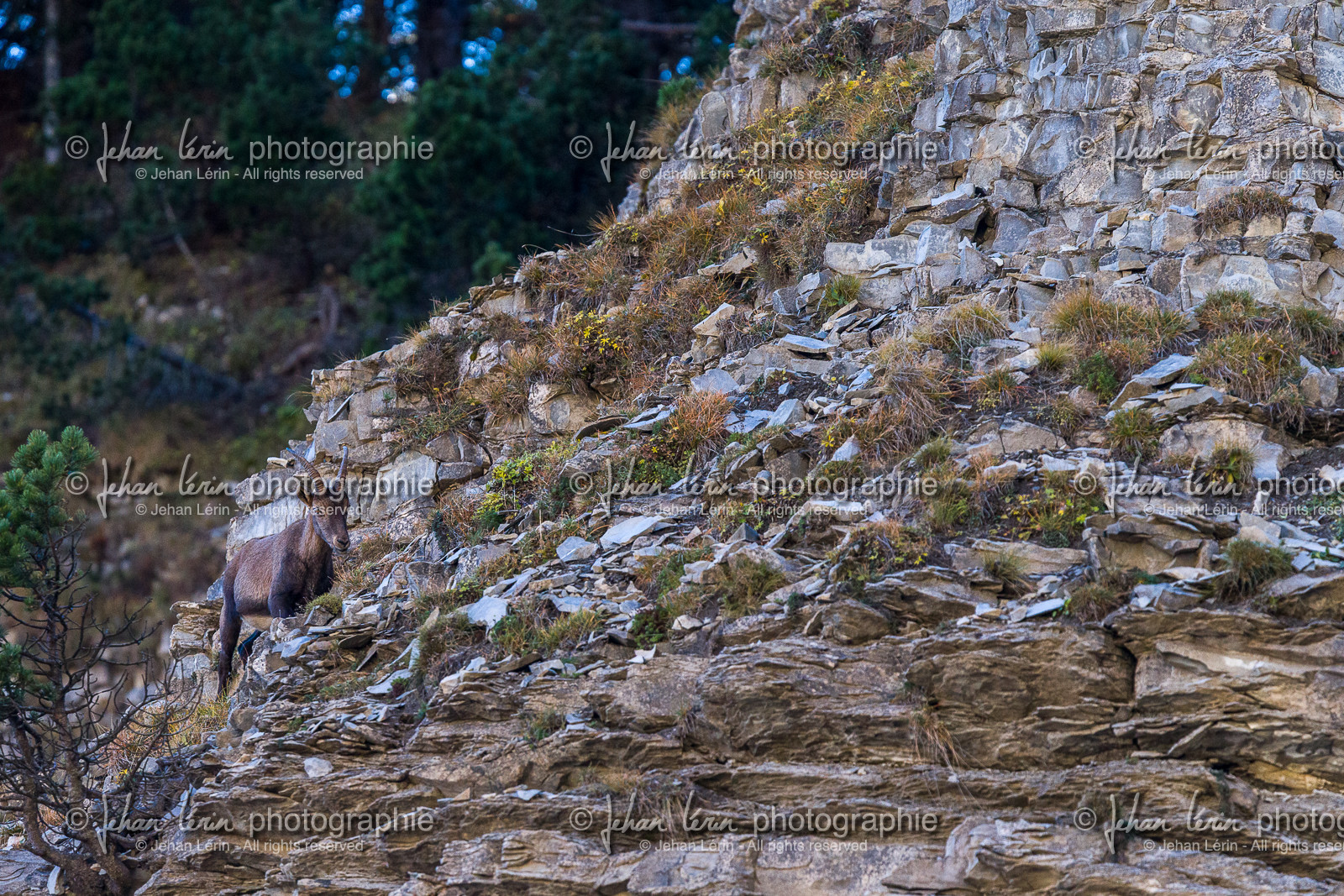 parc-re-gional-du-vercors_chichilianne_jl_1dx_25-10-2021-0052.jpg