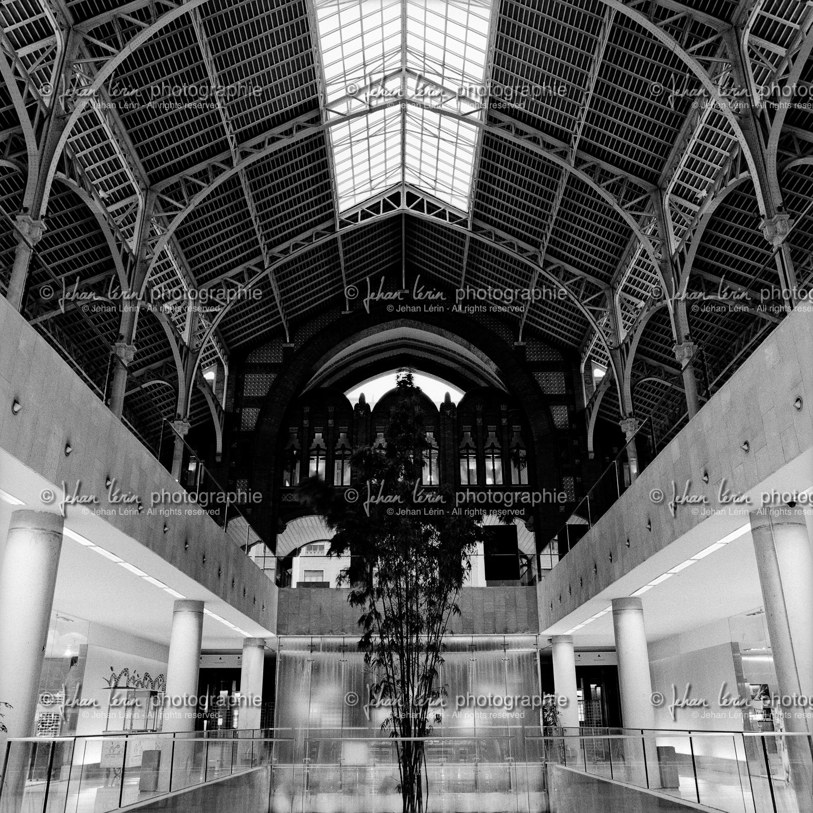 valencia_mercado-colon_9.jpg