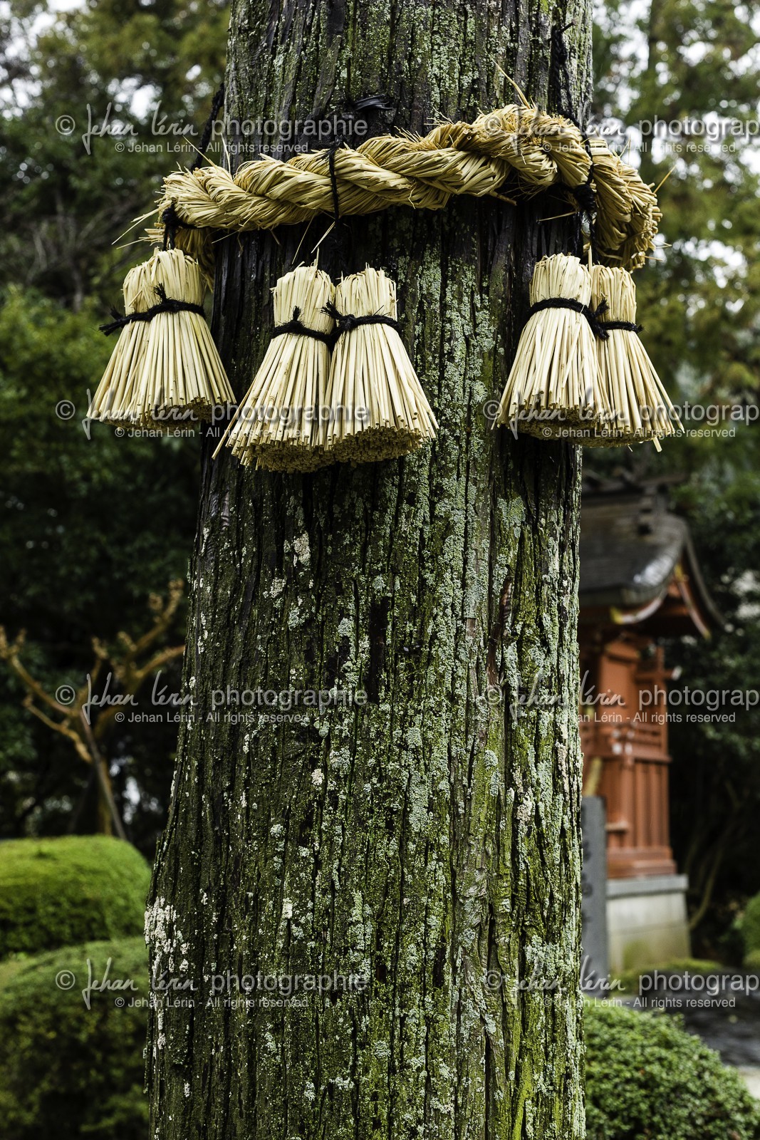 gokurakuji_temple-2_shikoku_japon_05-03_2014-1672.jpg
