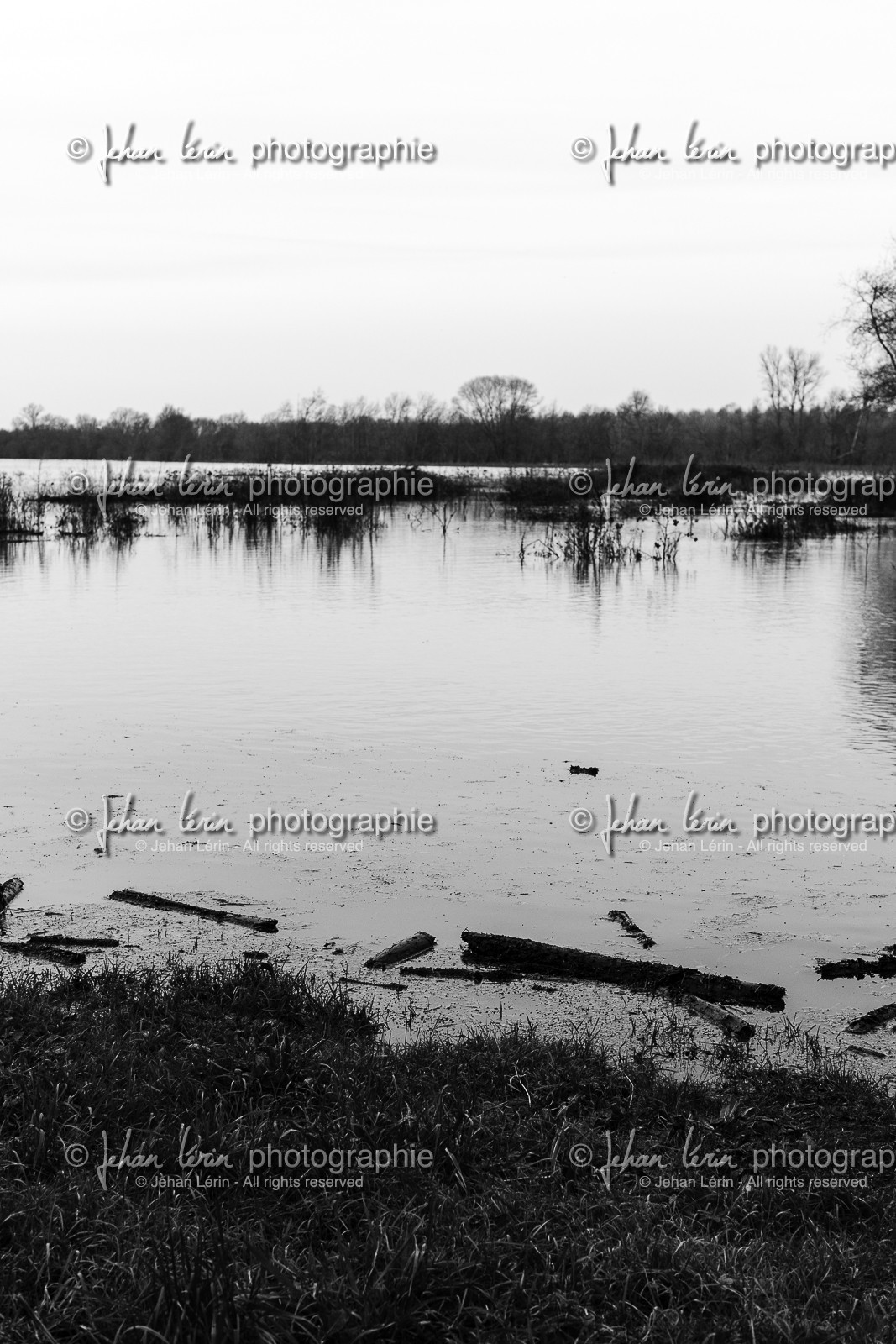 la-possonniere_maine-et-loire-_-france_23-12-2012-35613.jpg