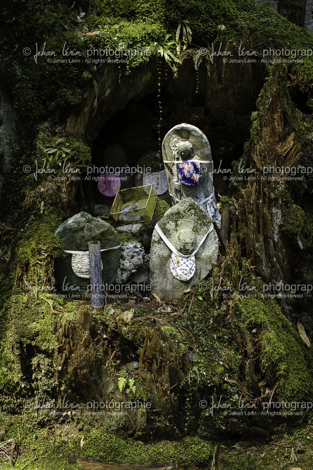koyasan_japon_jl_1dx_17-04-2014-5251.jpg