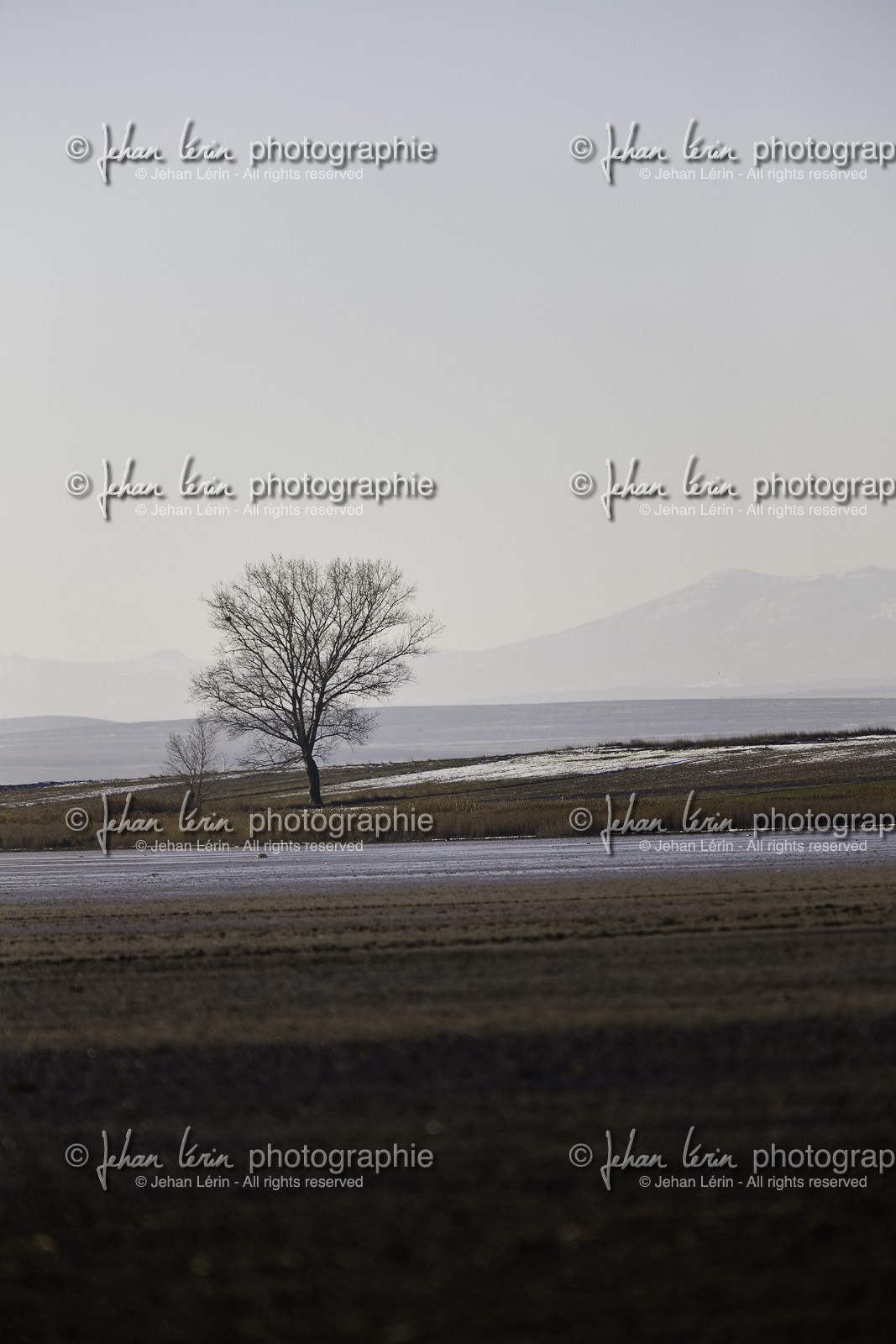 laguna-de-gallocanta_01-02-2011-8442.jpg