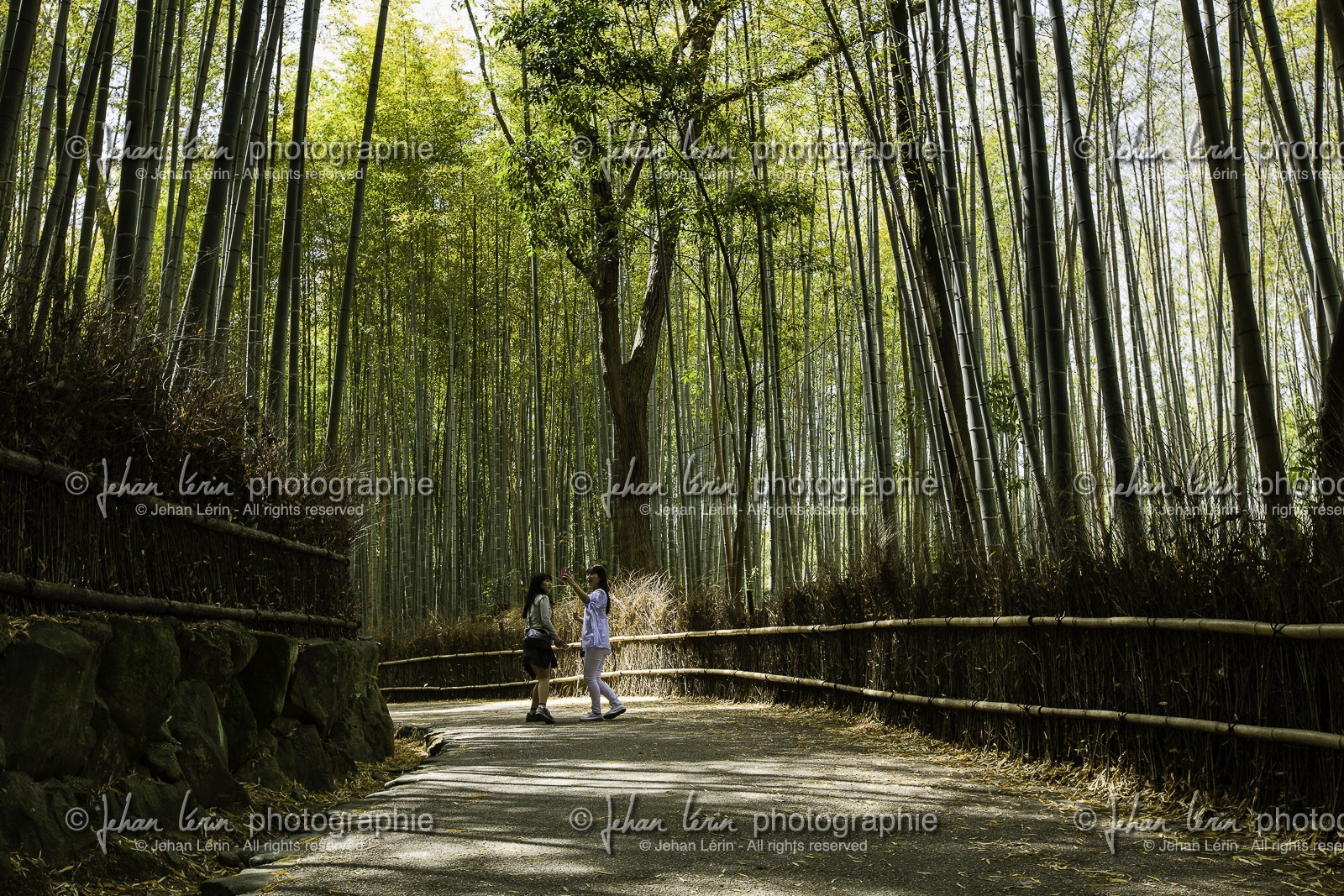 bambouseraie_arashiyama_kyoto_japon_jl_5d3_10-05-2014-1674.jpg