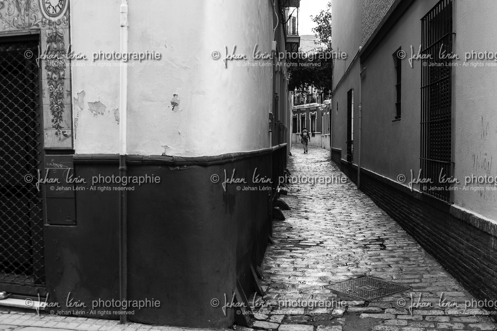 sevilla_19-01-2010-8079.jpg