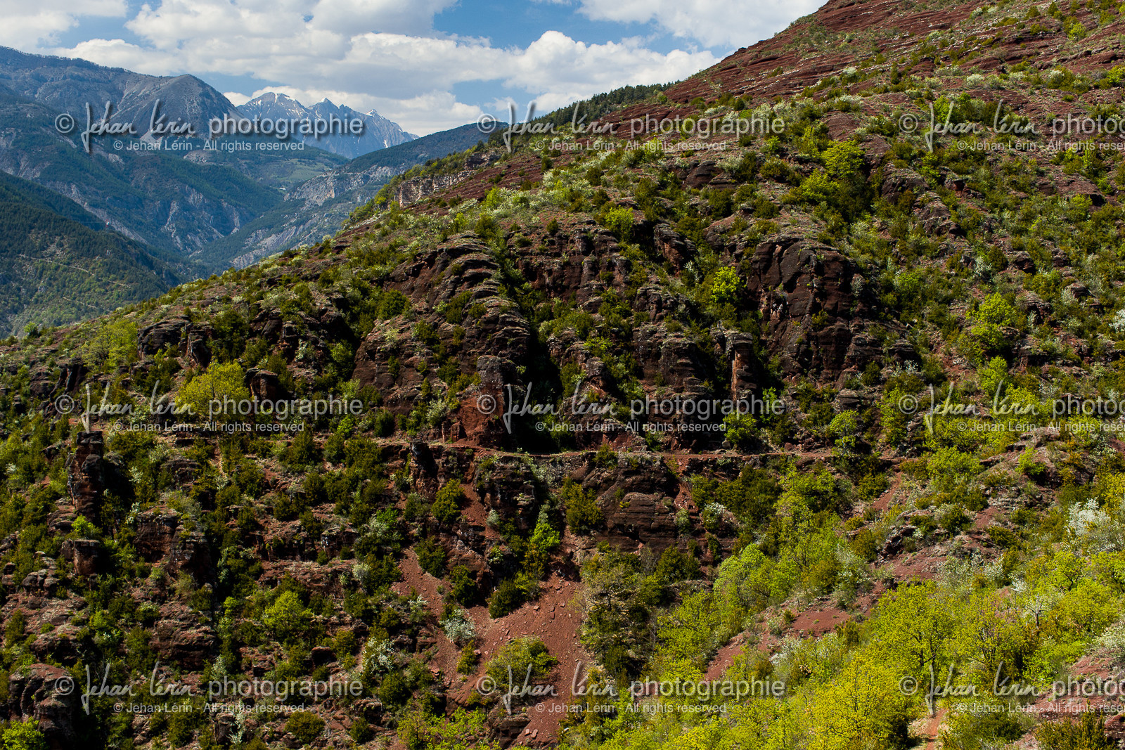 trek-loueve-dome-du-barrot-amen-loueve_alpes-maritimes_1dx_06-05-2016-2758.jpg