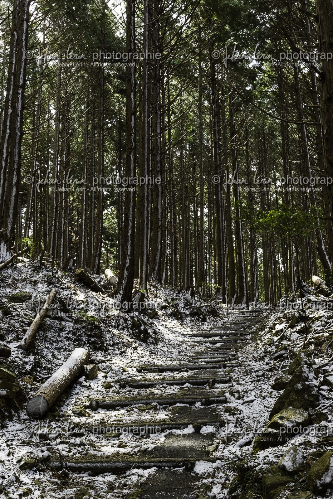 en-route-vers_kakurinji_temple-20_shikoku_japon_10-03_2014-2268.jpg