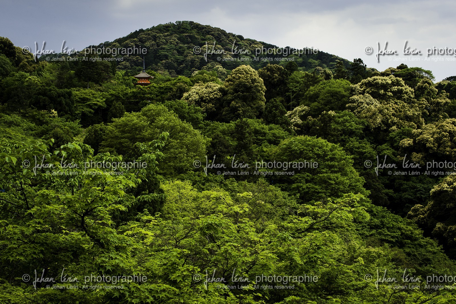 kiyomizu-temple_kyoto_japon_jl_1dx_09-05-2014-6676.jpg
