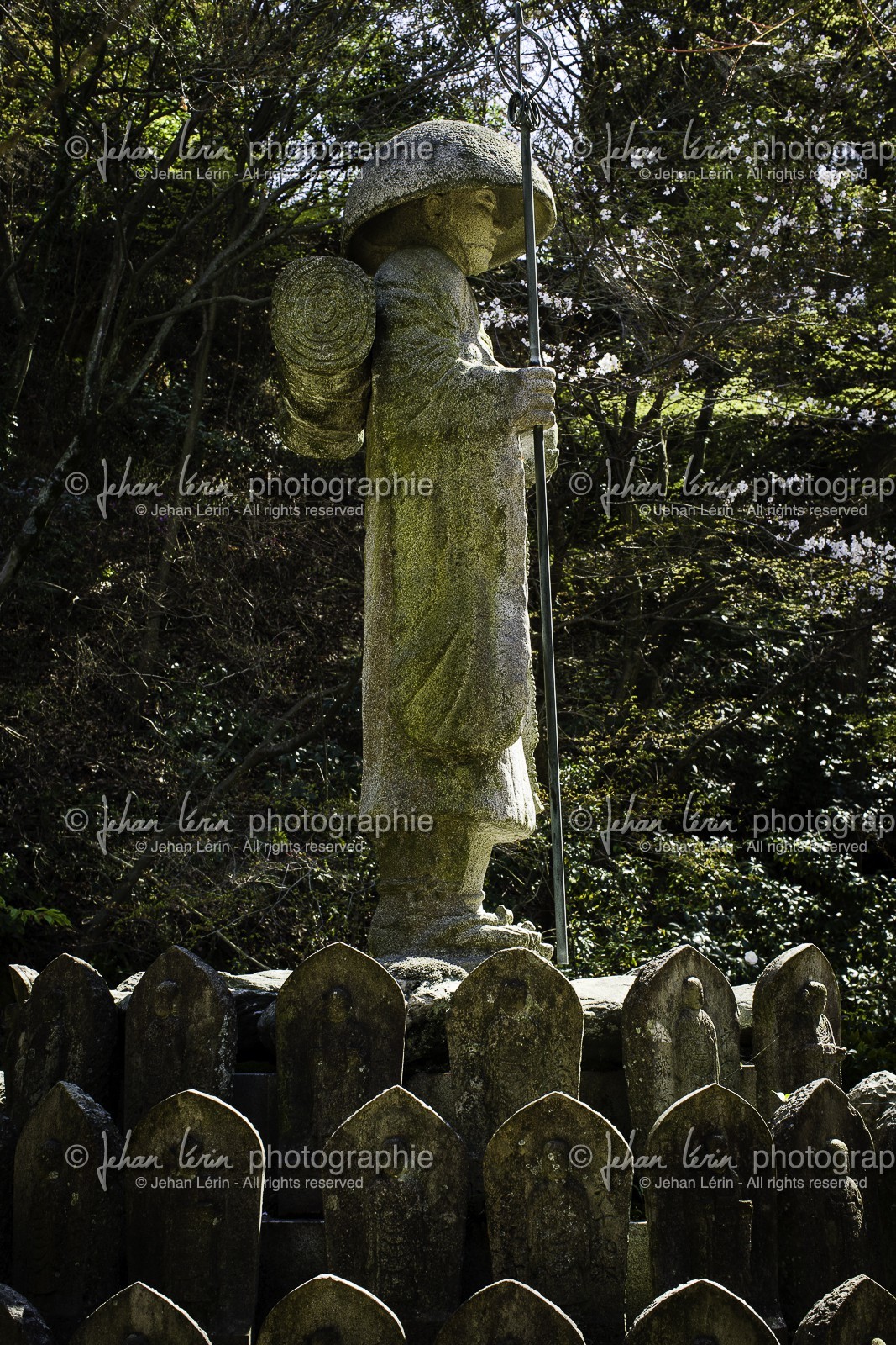 senyuji_temple-58_shikoku_japon_01-04_2014-3601.jpg