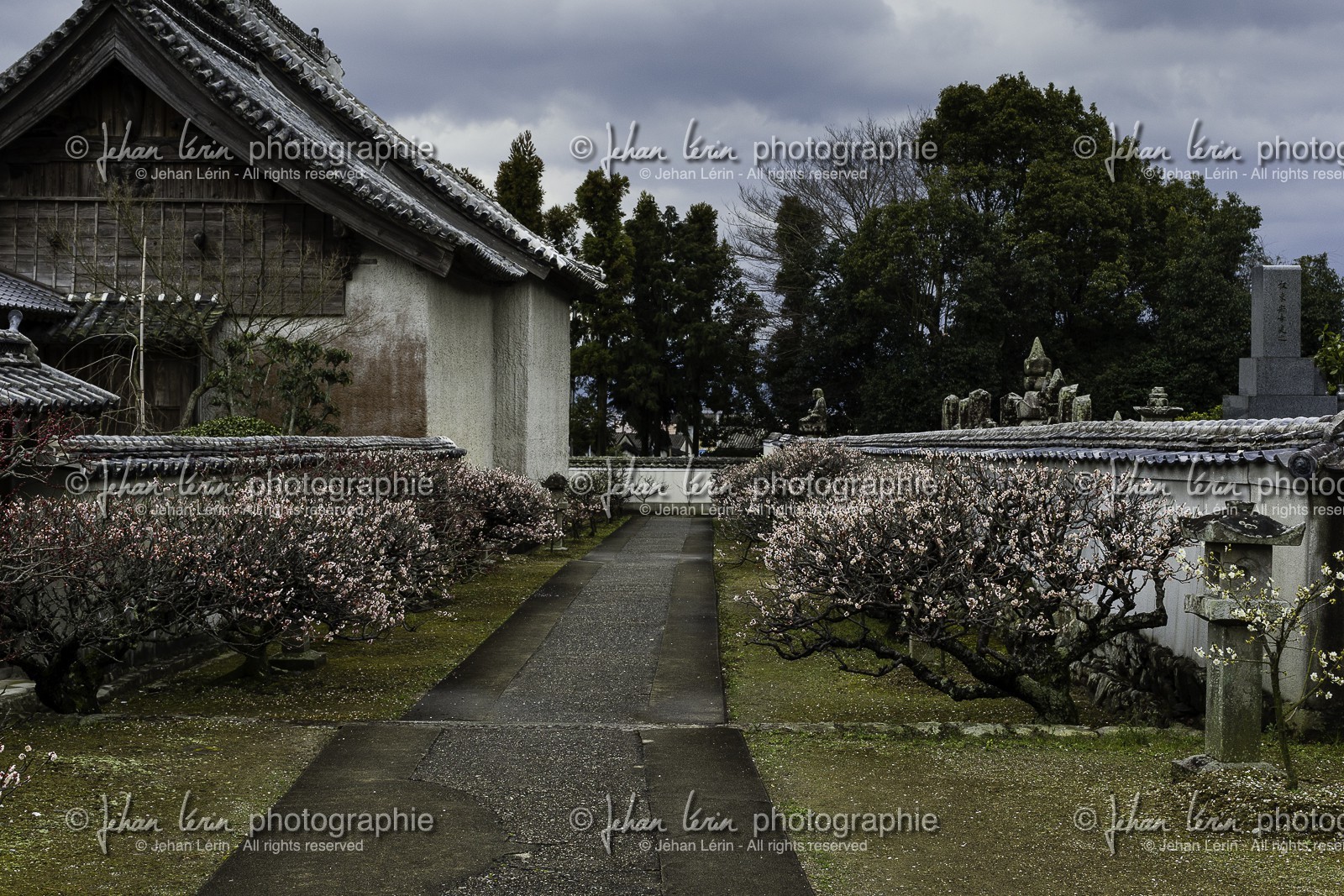 dainichiji_temple-4_shikoku_japon_05-03_2014-1777.jpg