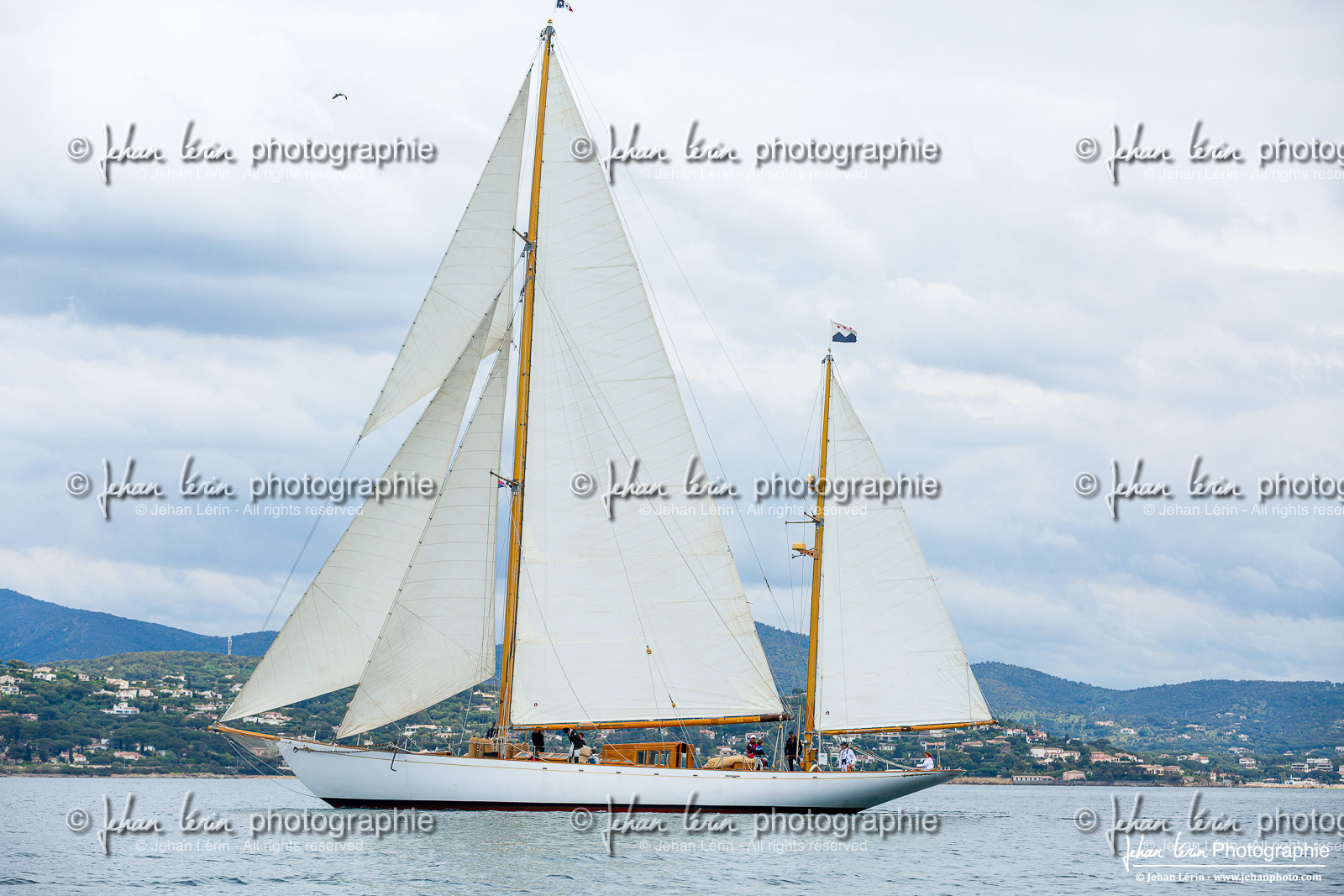 Les Dames de St Tropez