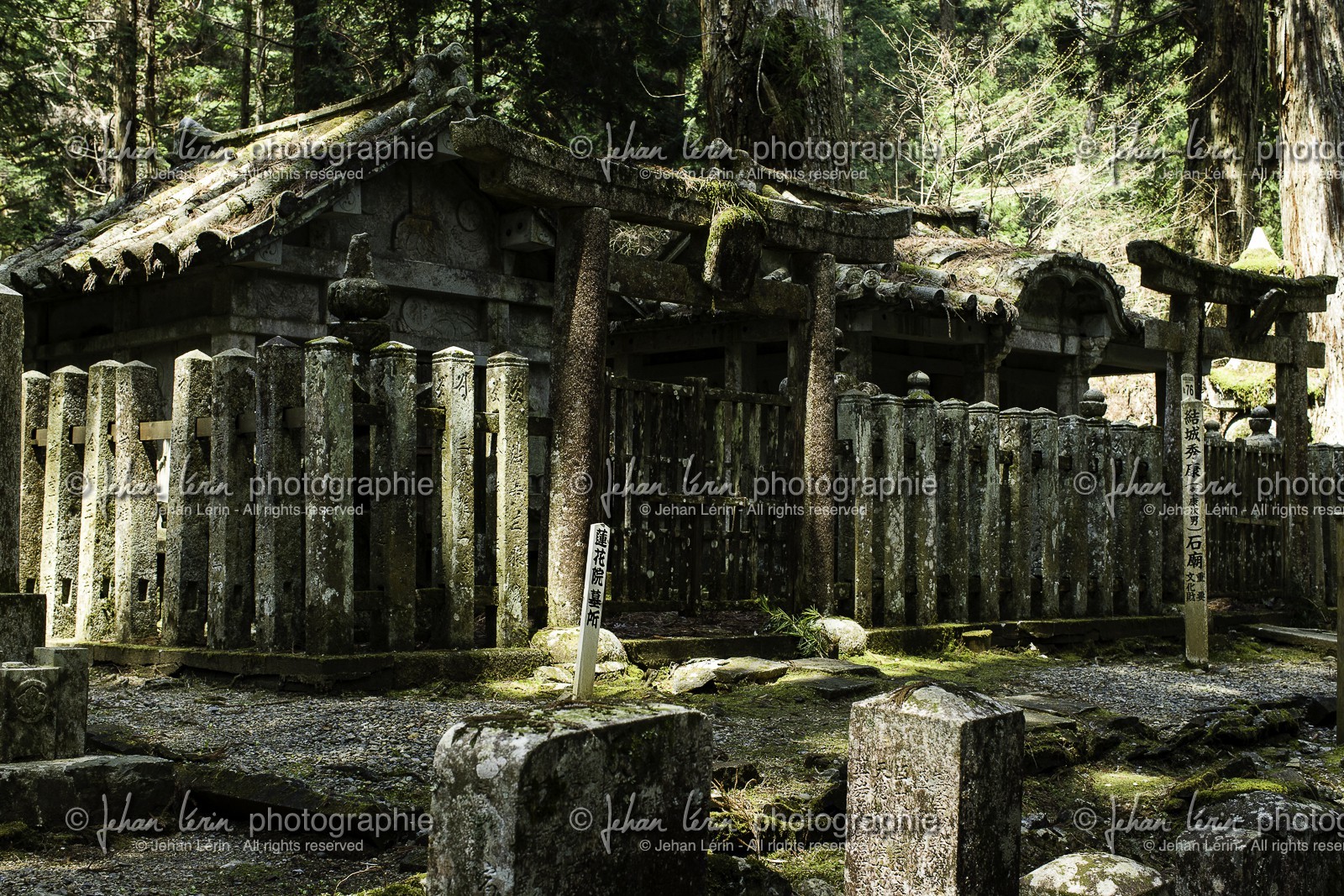 koyasan_japon_jl_1dx_17-04-2014-5270.jpg