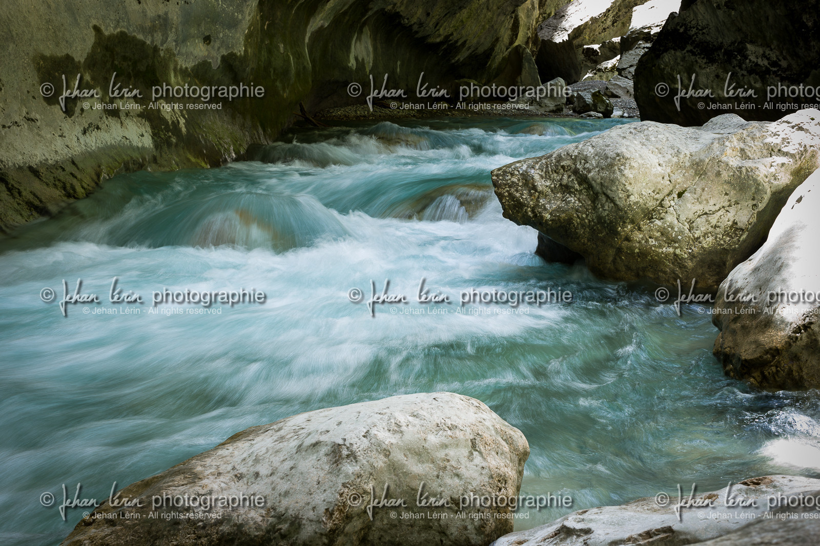 L'ours qui s'abreuve