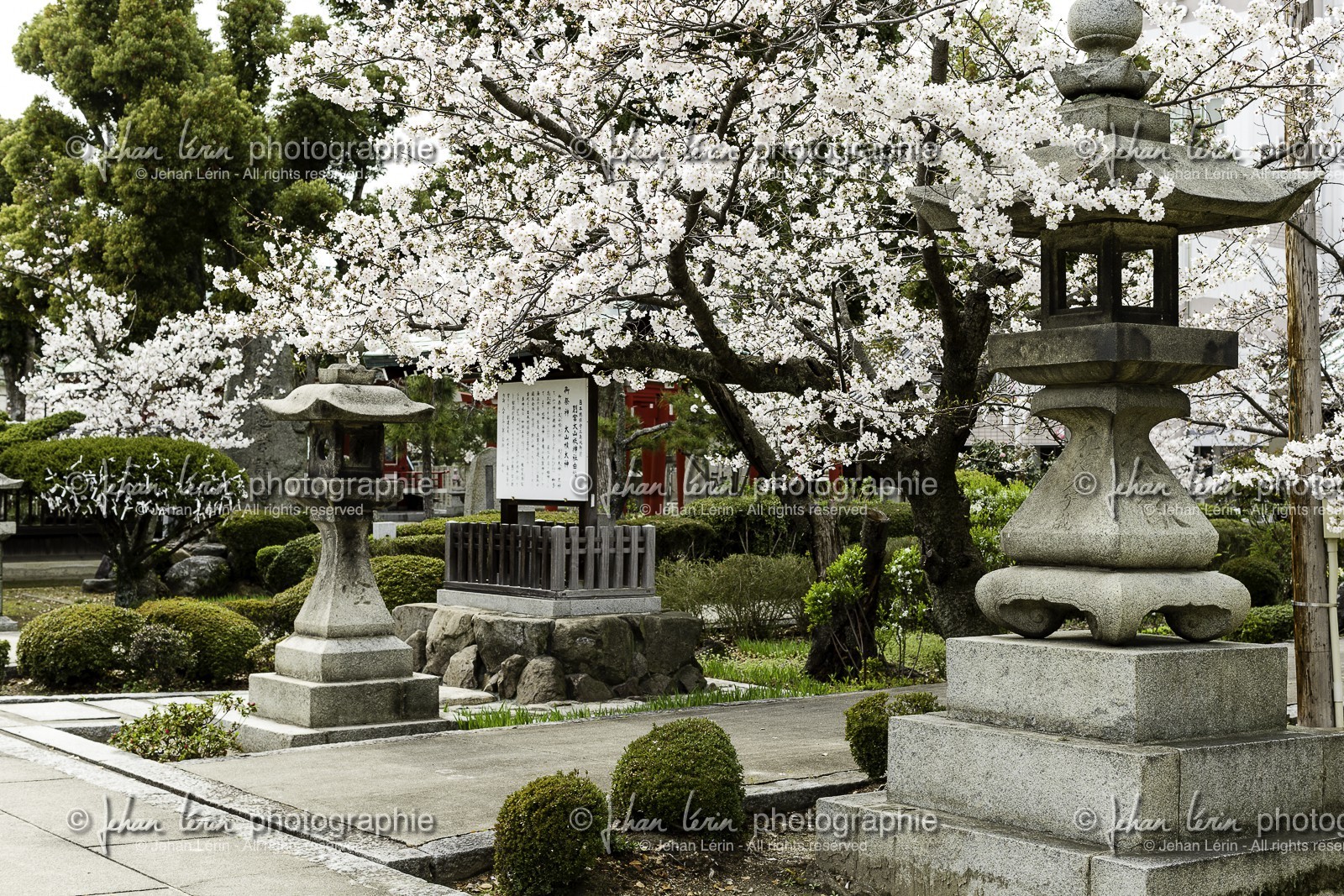nankobo_temple-55_shikoku_japon_31-03_2014-3515.jpg