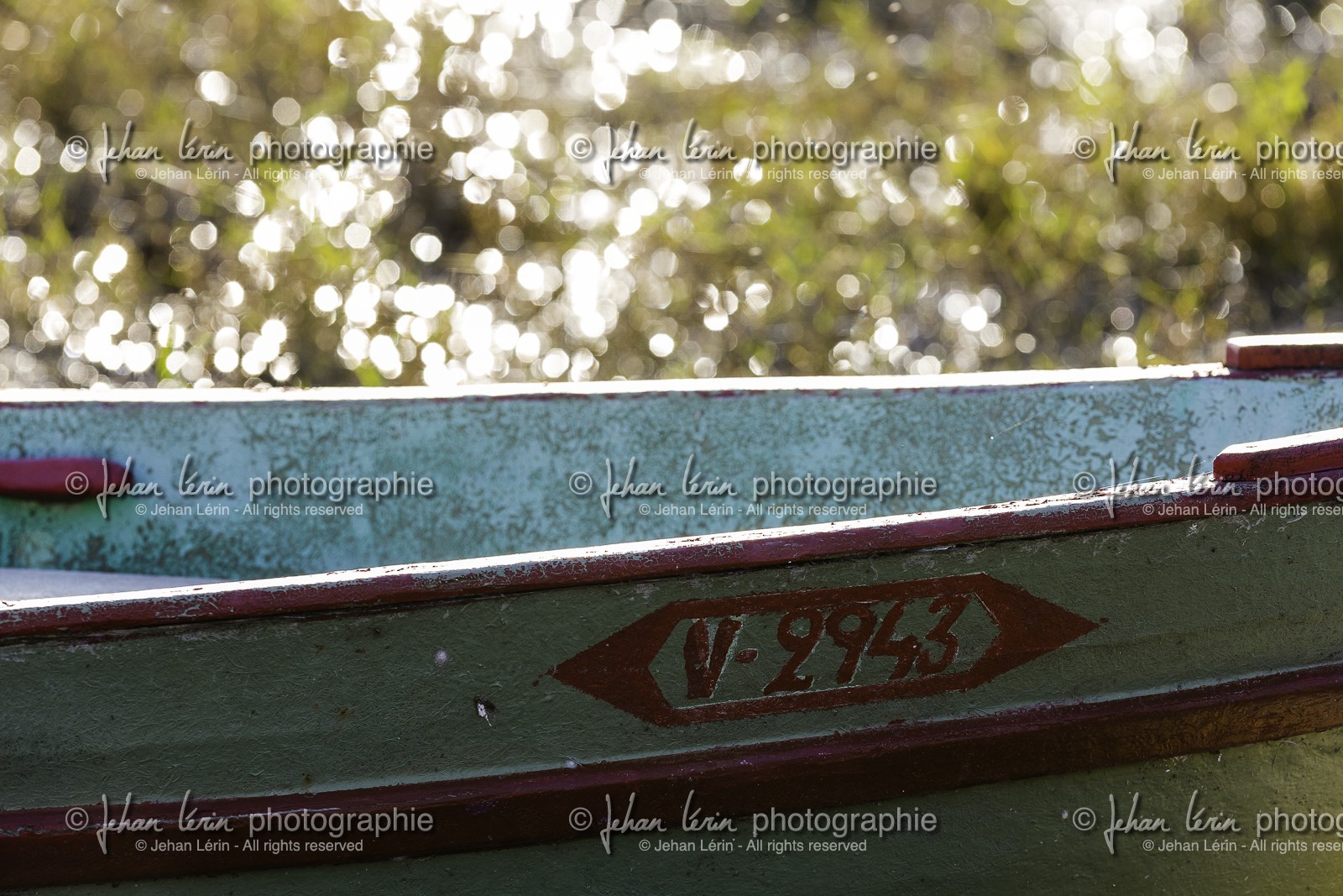 l-albufera_valencia_23-12-2009-7438.jpg