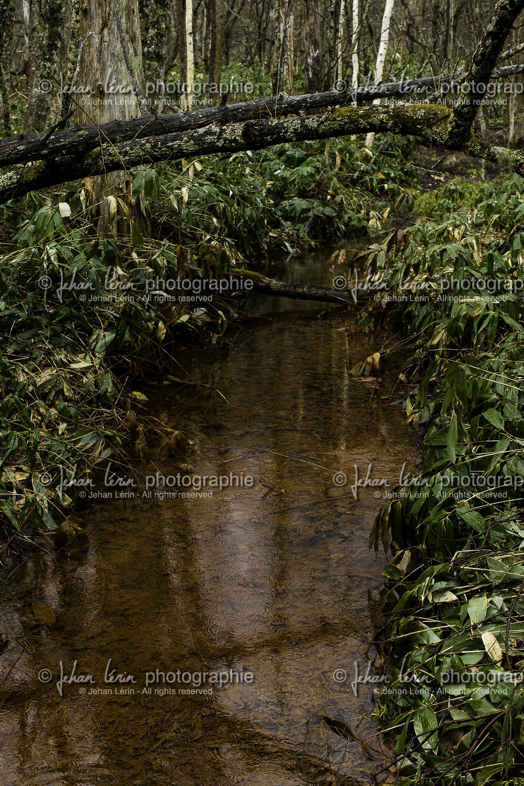 kamikochi_japon_jl_1dx_01-05-2014-5993.jpg