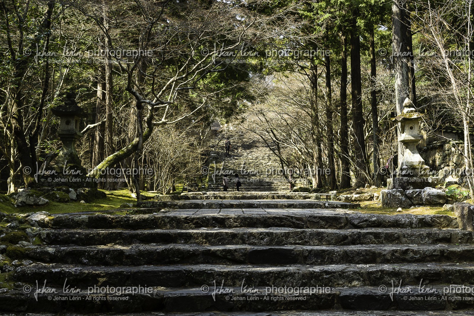 chikurinji_temple-31_shikoku_japon_17-03_2014-2708.jpg