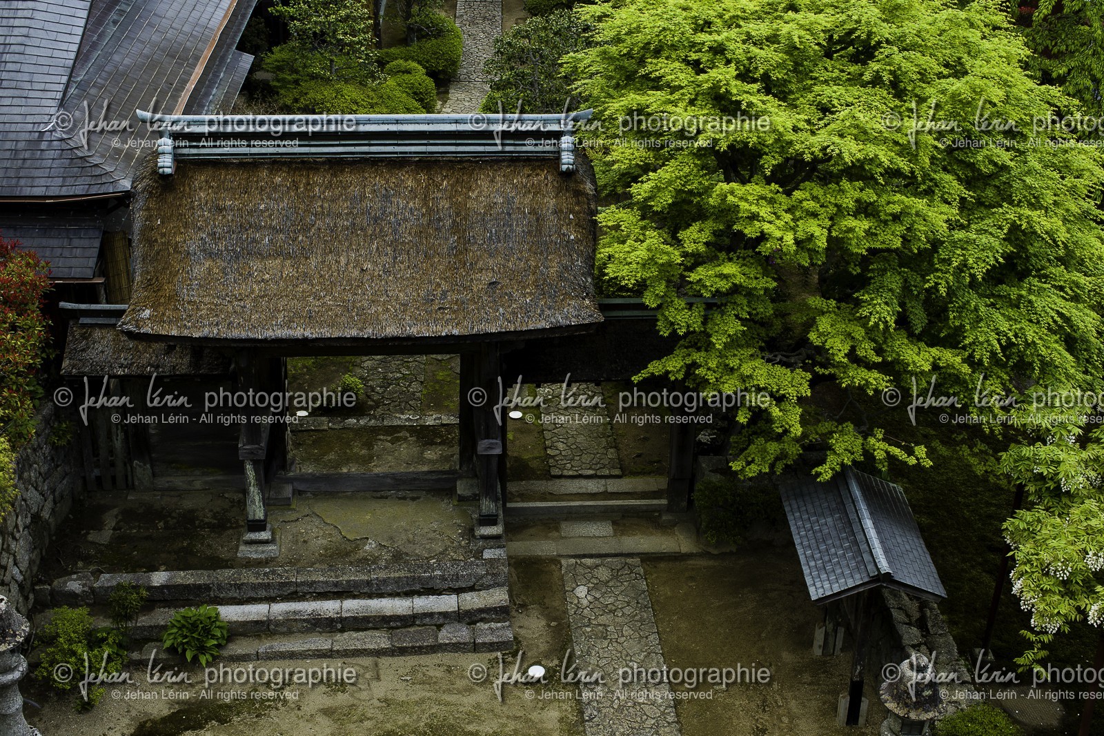 kumano-nachi-taisha_kumano-kodo-pilgrimage_japon_25-04-2014-5645.jpg