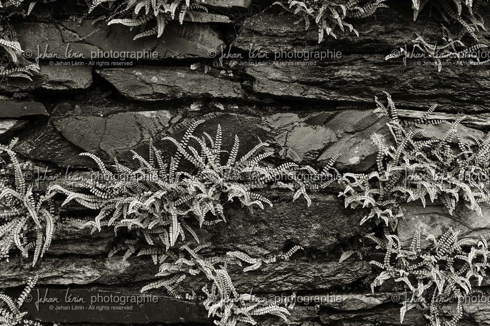 ambleside_lake-district-national-park_uk_oct-2012-2340-2.jpg
