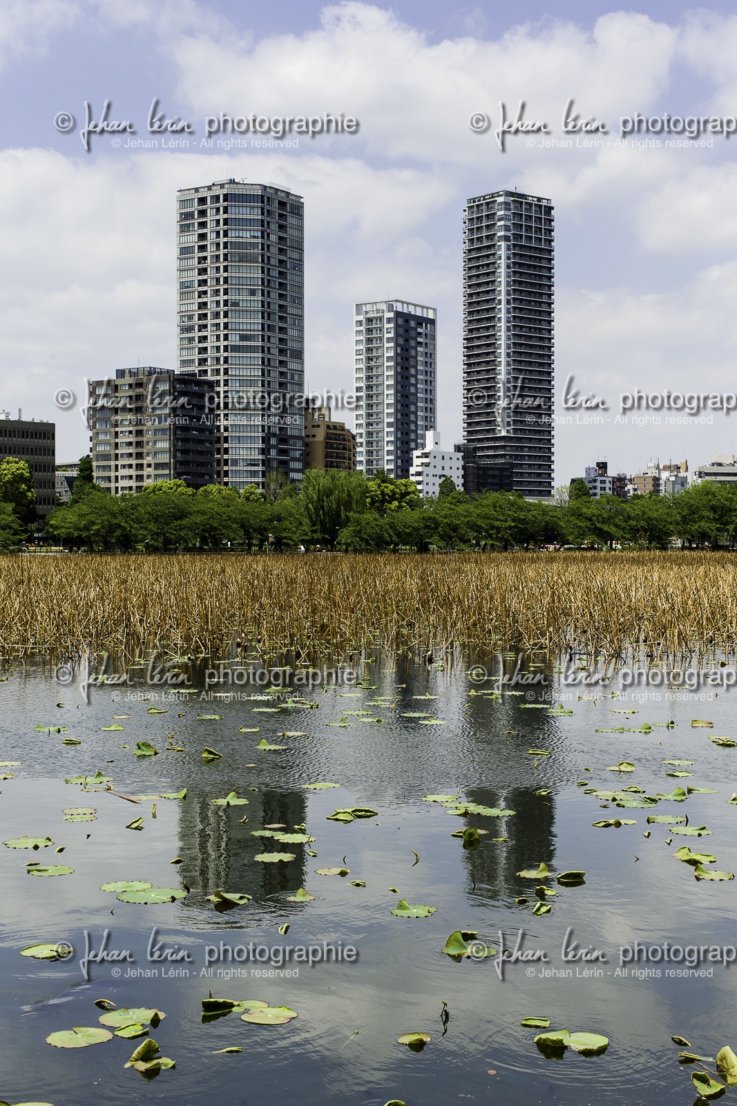 ueno_tokyo_japon_jl_1dx_07-05-2014-6364.jpg