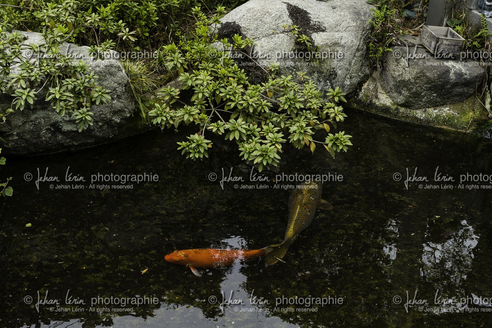 enmeiji_temple-54_shikoku_japon_31-03_2014-3485.jpg